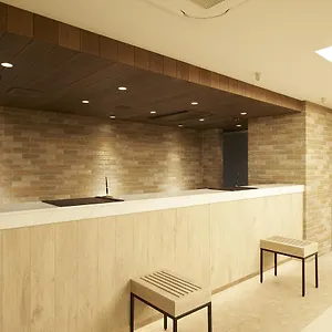 *** Отель Sotetsu Fresa Ginza Sanchome Япония